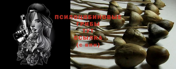 а пвп мука Армянск