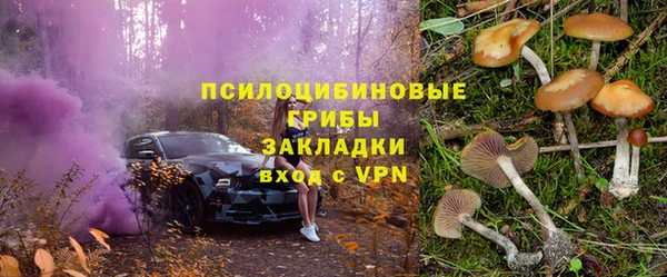 бошки Арсеньев
