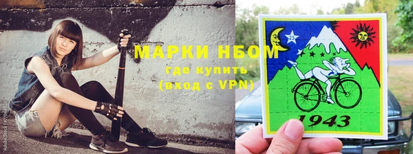 гидра Аркадак