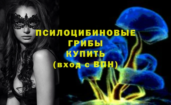 бошки Арсеньев