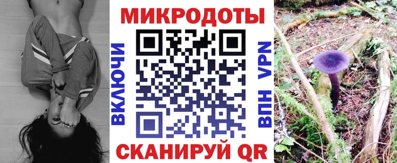 площадка Telegram  купить  сайты  Каспийск  Галлюциногенные грибы мухоморы 